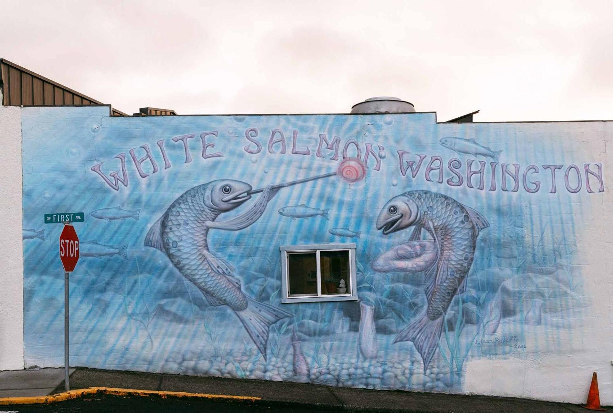 Inn Of The White Salmon Exterior foto